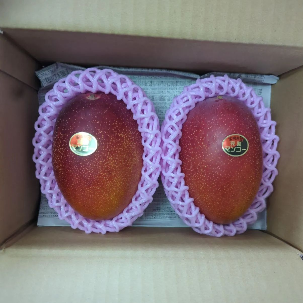 宮崎県産 完熟マンゴー 4L 2玉 クール便 - メルカリ