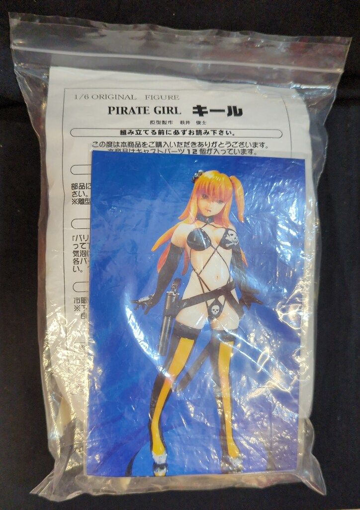 スタジオ猿分室仮設所 1/6スケールレジンキャストキット PIRATE GIRL キール