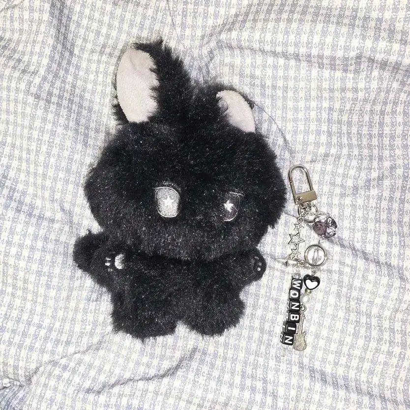 RIIZE（ライズ）ウォンビン(WONBIN) 10cm ぬいぐるみ 묘묘삔 ビーズ