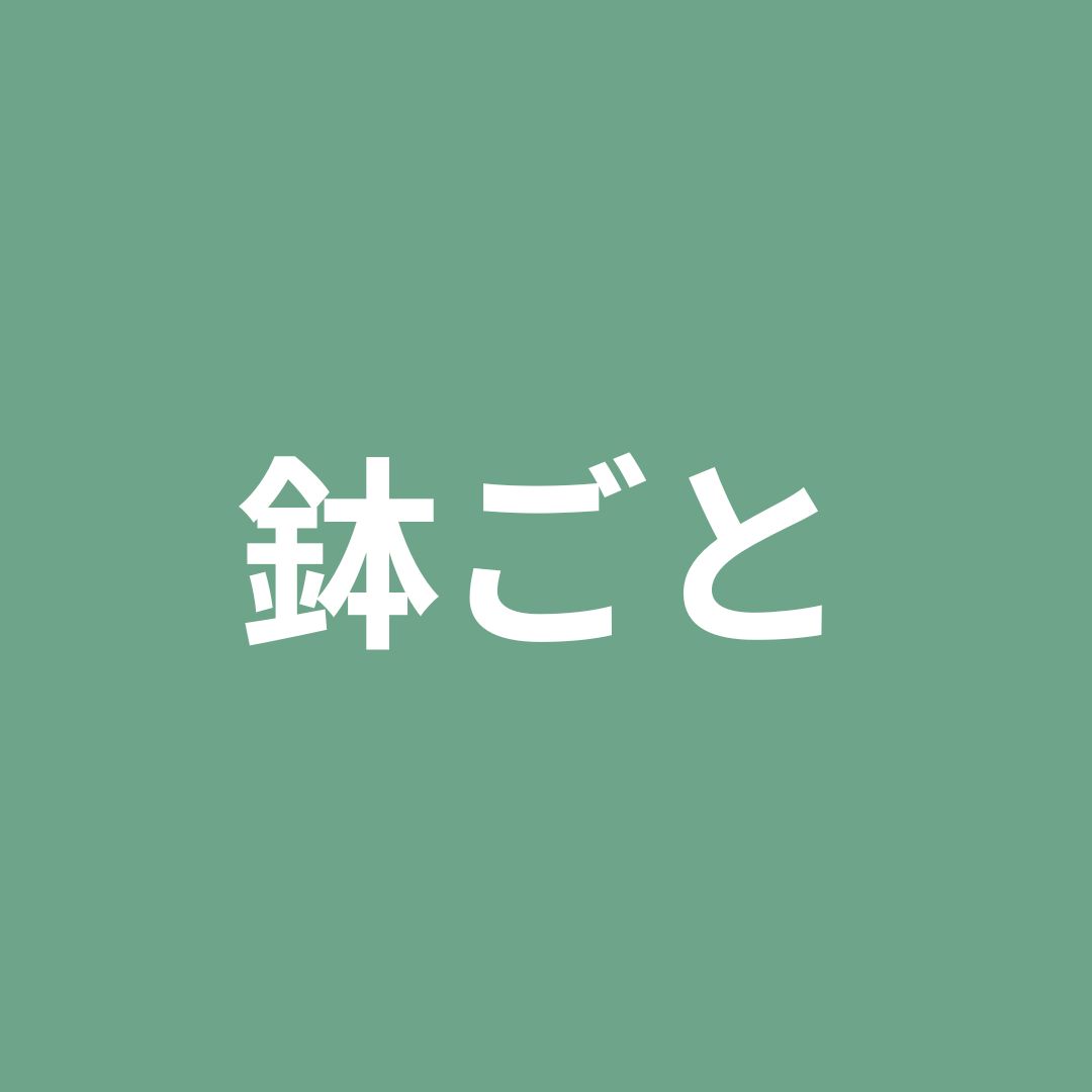 植物発送用】 鉢ごと発送 変更追加オプション（＋300円） - メルカリ
