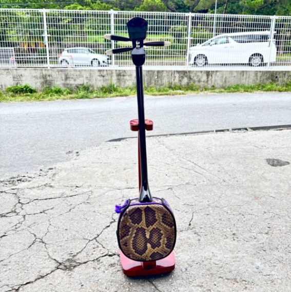 送料無料】人工皮三線 棹約371g 沖縄三線 黒塗り棹 琉球楽器 民謡 練習