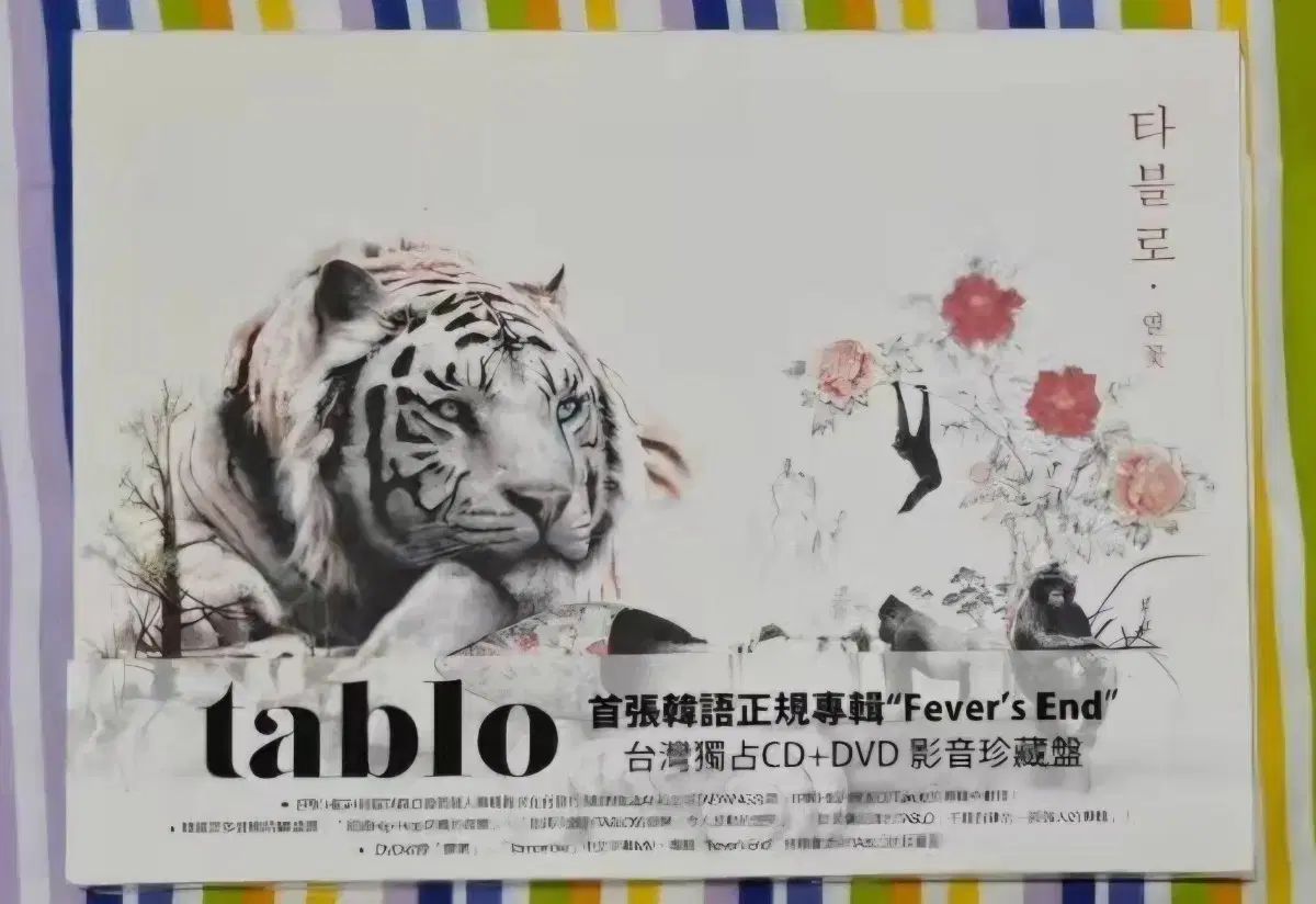 タブロ 花火 dvd バン