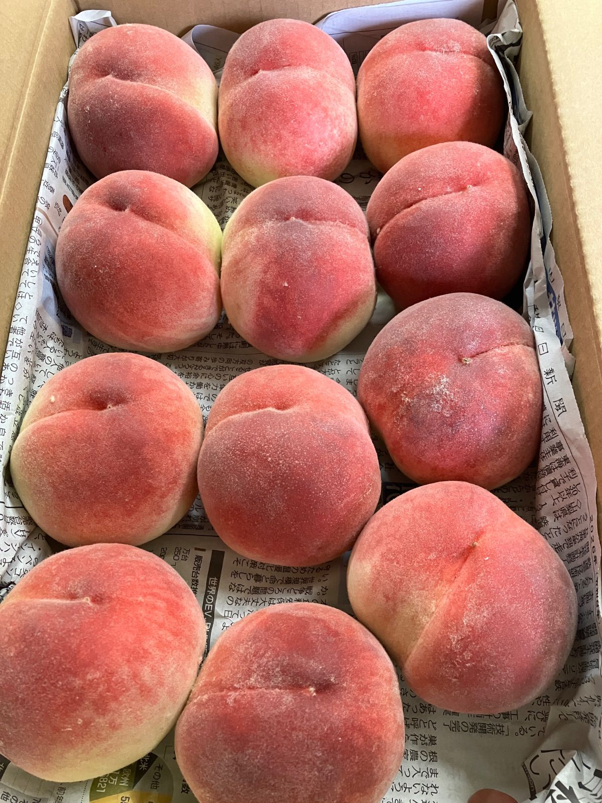 硬め 夢みずき 2.7kg 傷あり 香り高い桃 - メルカリ