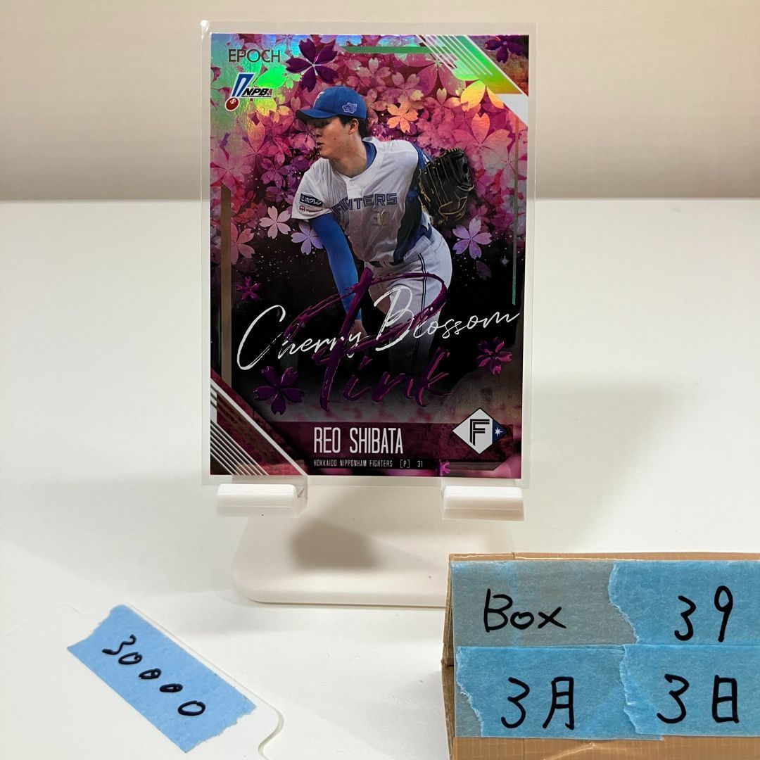 2026 EPOCH NPB 柴田獅子 1/5 北海道日本ハムファイターズ 桜 さくら Cherry Blossom Pink ファーストナンバー SSP　綺麗 カード