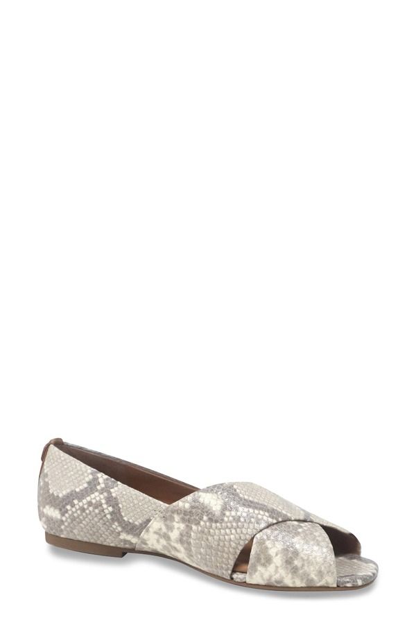 ジェントルソウルズ レディース シューズ パンプス Gentle Souls Whoebe Flataupe Snake トープ 36,270円