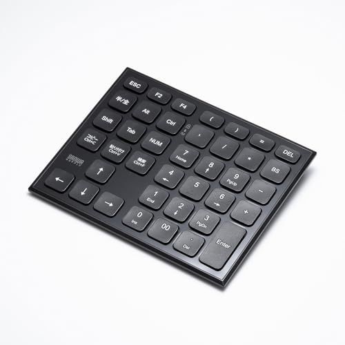 サンワサプライ 表計算ワイヤレステンキー NT-WL27BKt c9c9a398