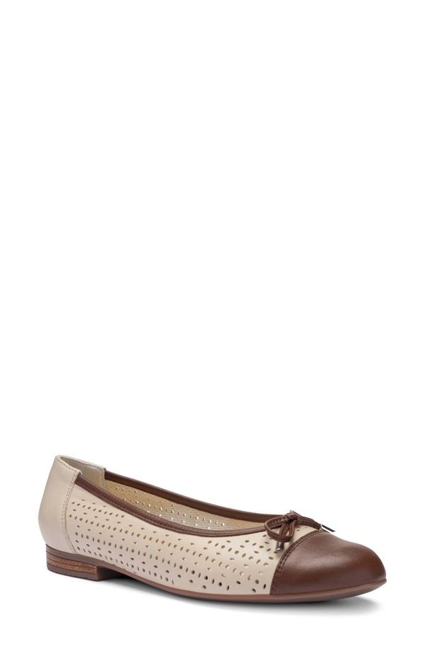 アラ レディース シューズ パンプス キャップ ara Sangria Cap Toe Flat Mocca Beach