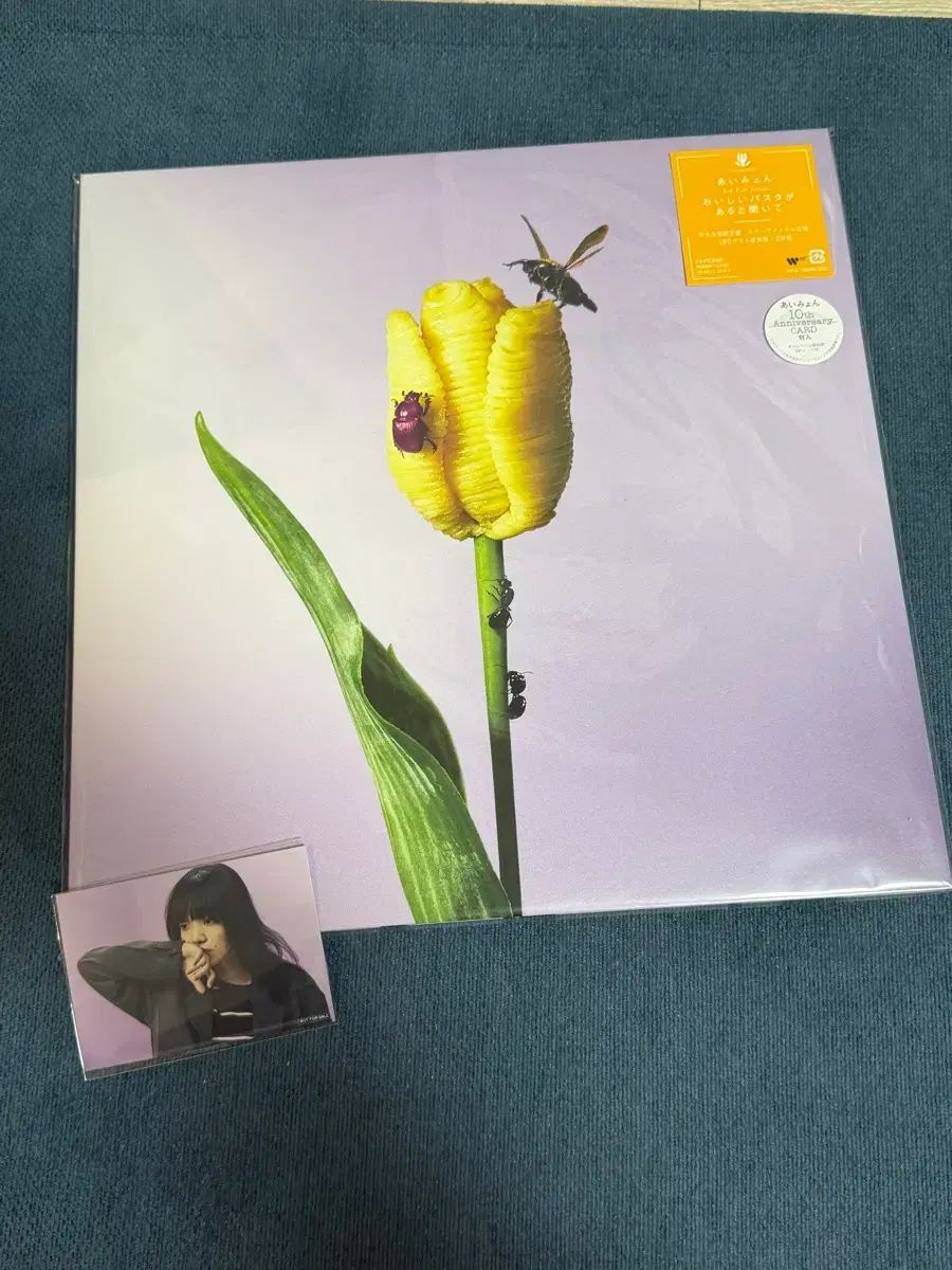 i⸺- 正規 3 家 LP おいしい パスタ そこにある 聞く 新品