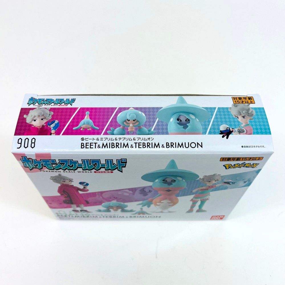 美品 バンダイ ポケモンスケールワールド ガラル地方 ビート＆ミブリム