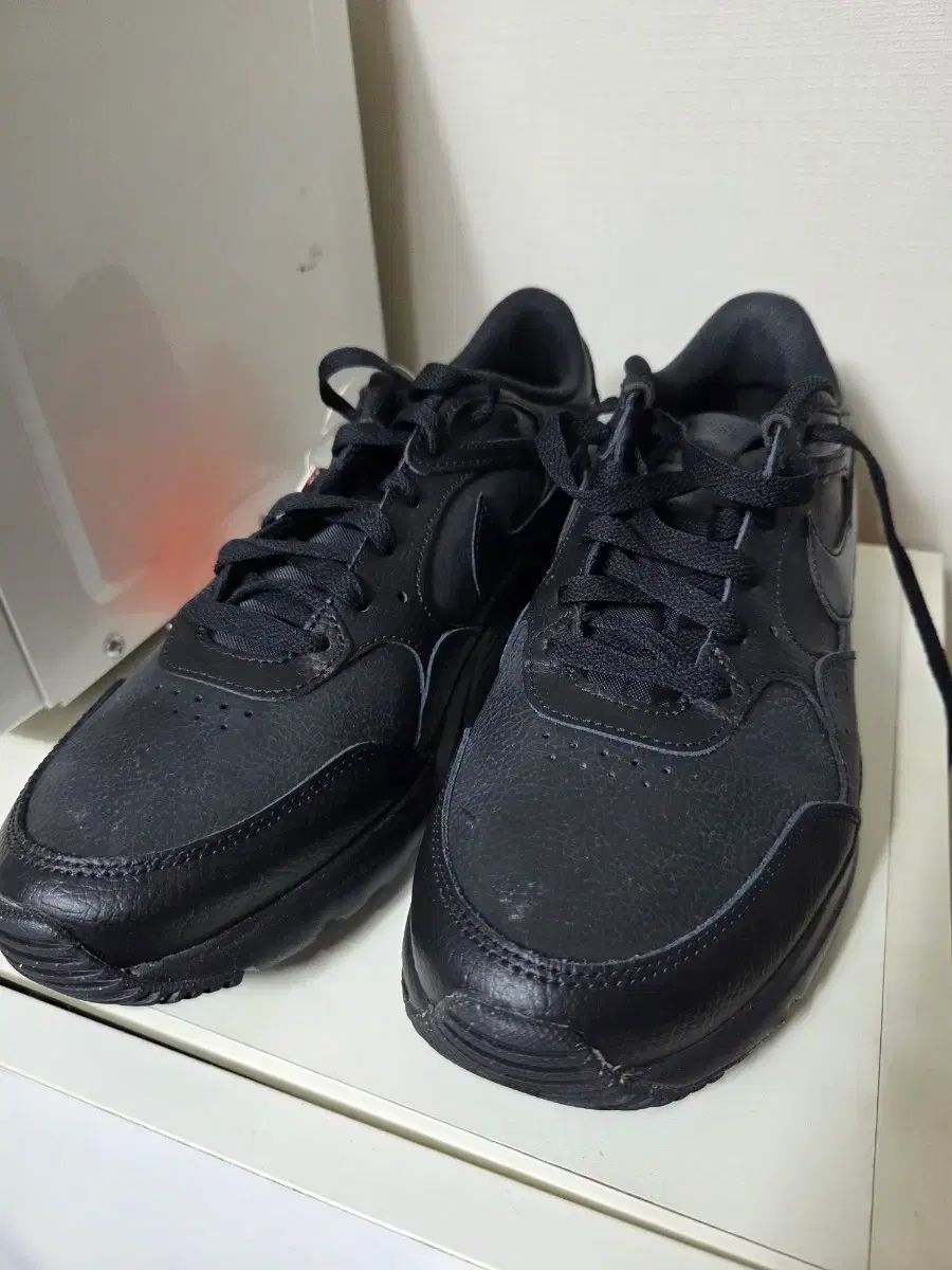 ナイキ靴275