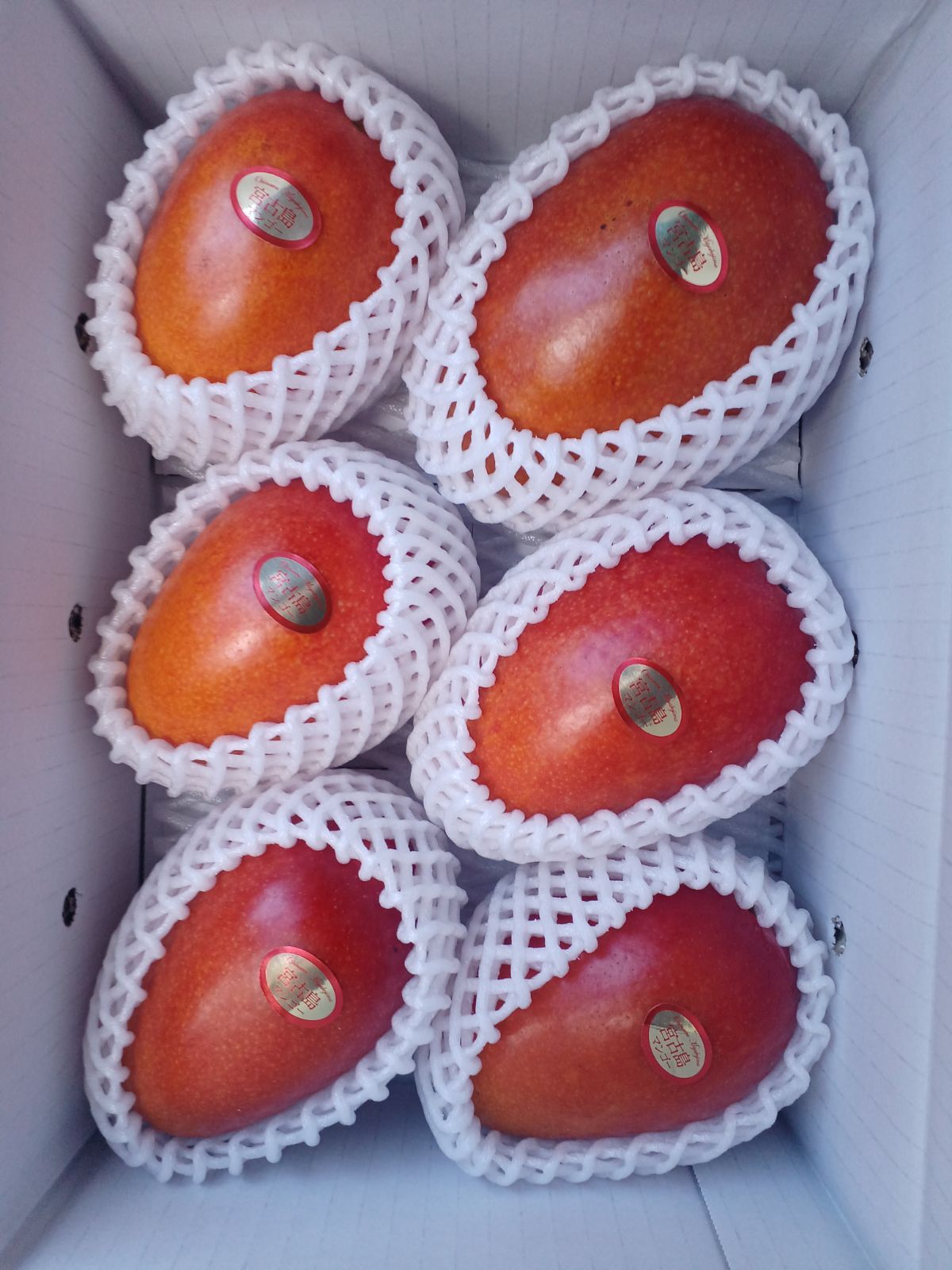 宮古島産 訳あり完熟マンゴー 2kg 加工用 クール便 - メルカリ