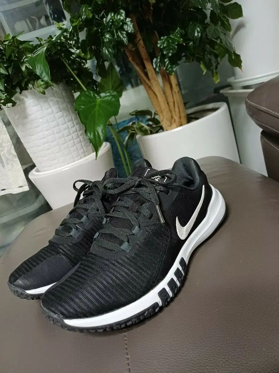 ナイキ トレーニングシューズ 白黒 250