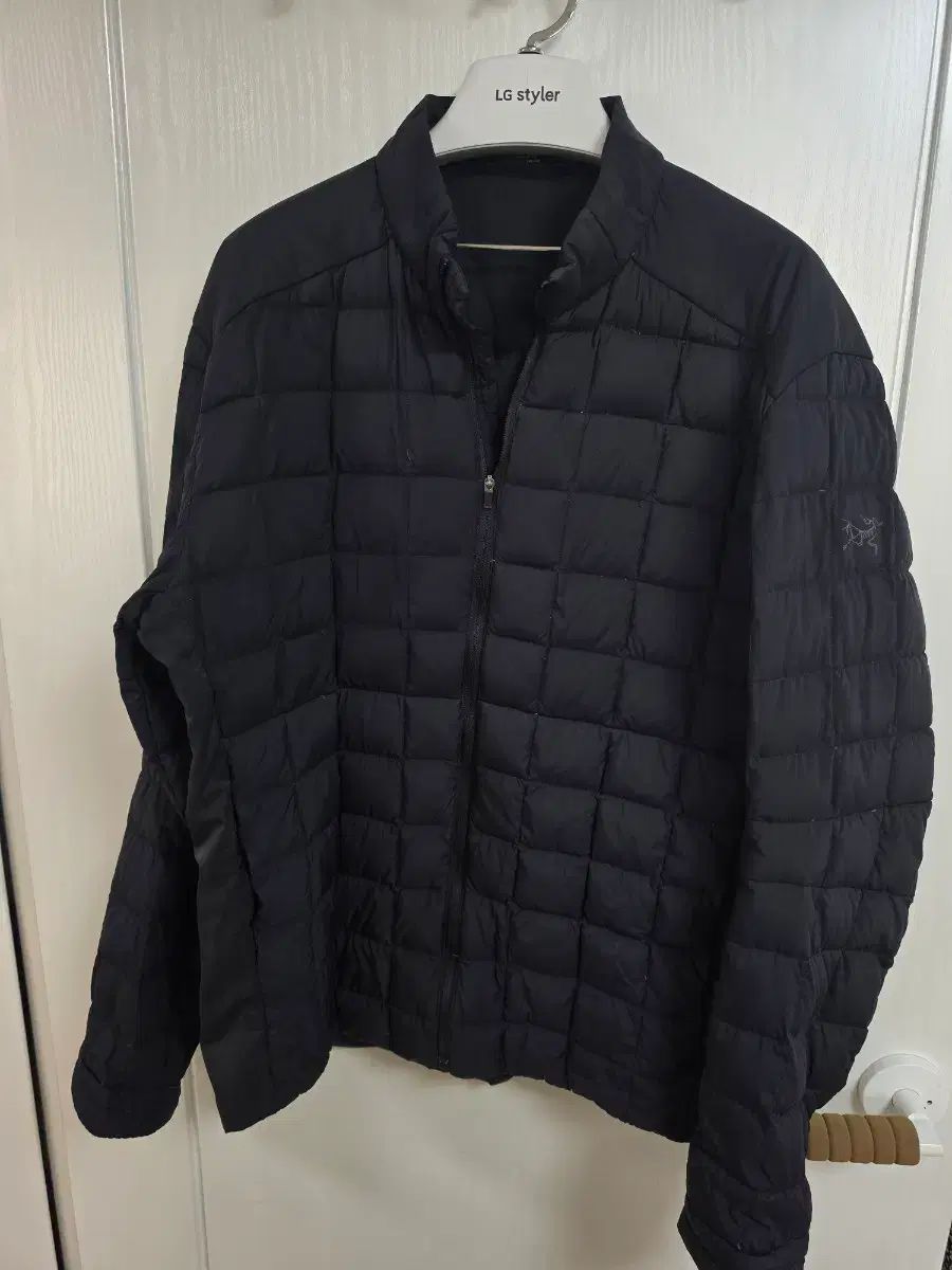 ARC'TERYX アークテリクス グース ダウン ジップアップ ジャケット 100 サイズ