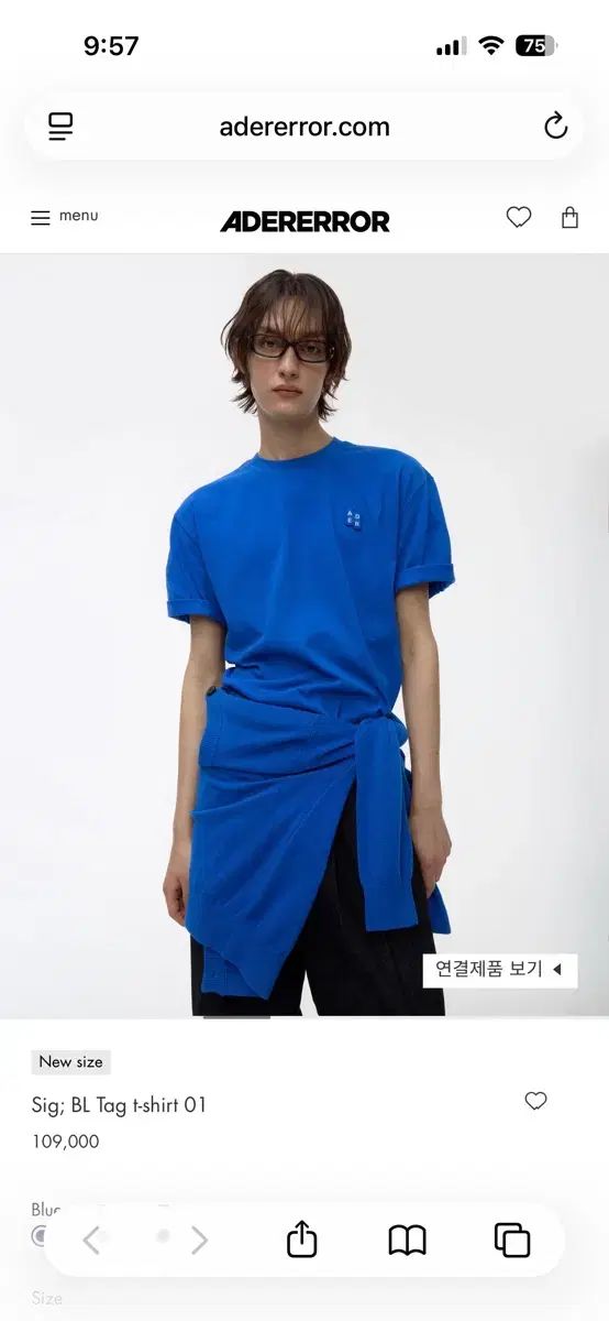 ADER ERROR アーダーエラー SIGNIFICANT TRS/BL TAG タグ Tシャツ ブルー S