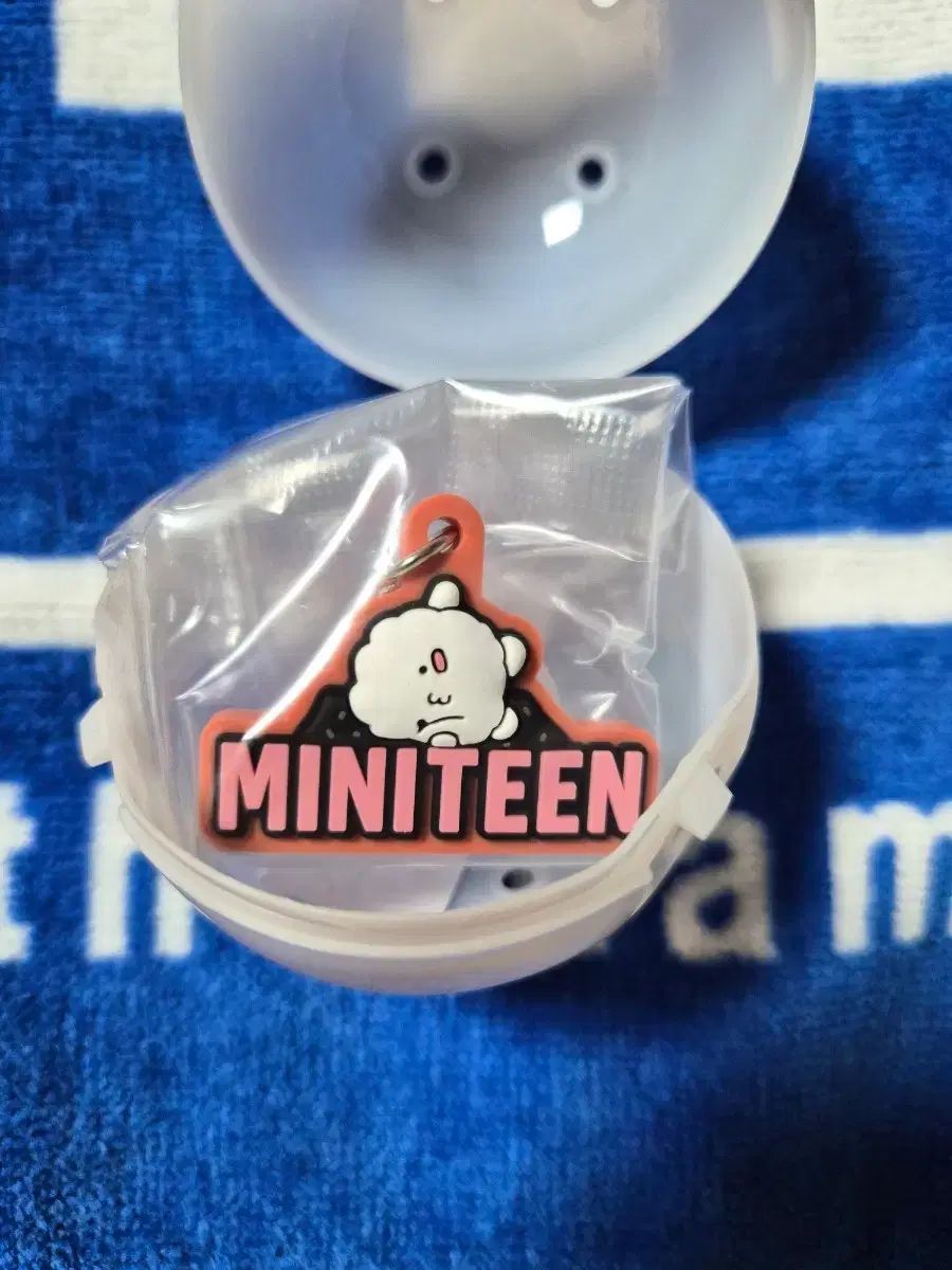 SEVENTEEN MINITEEN カプセルトイ めじるし ウォヌ コンプ SEVENTEEN MINITEEN カプセルトイ めじるし ウォヌ コンプ MINITEEN