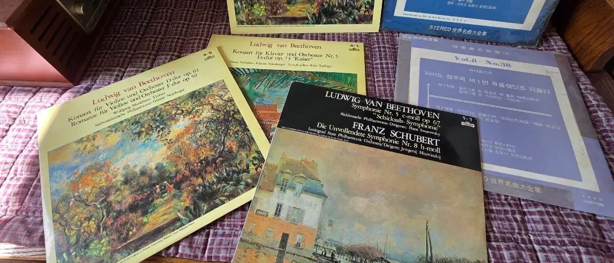 Classic みょうばん 39 腸 LP 出品