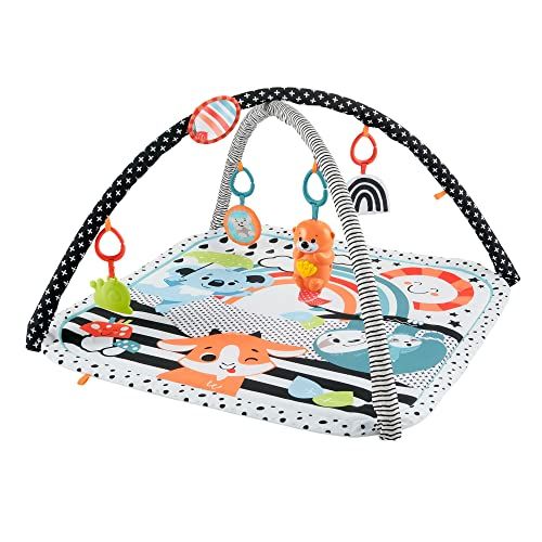 フィッシャープライス(fisher price) 感覚を育てよう! ラッコのわくわくミュージカルジム 赤ちゃん おもちゃ ベビージム プレイマット 0ヶ月から HBP41e 69d9e6bc