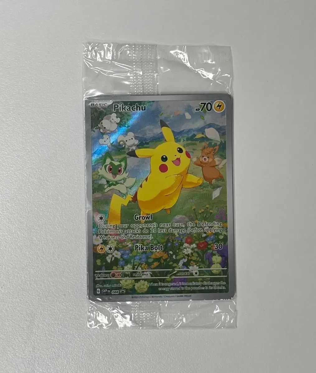 ポケモンカード 夏 ピカチュウ 218/SV-P プロモ 未開封
