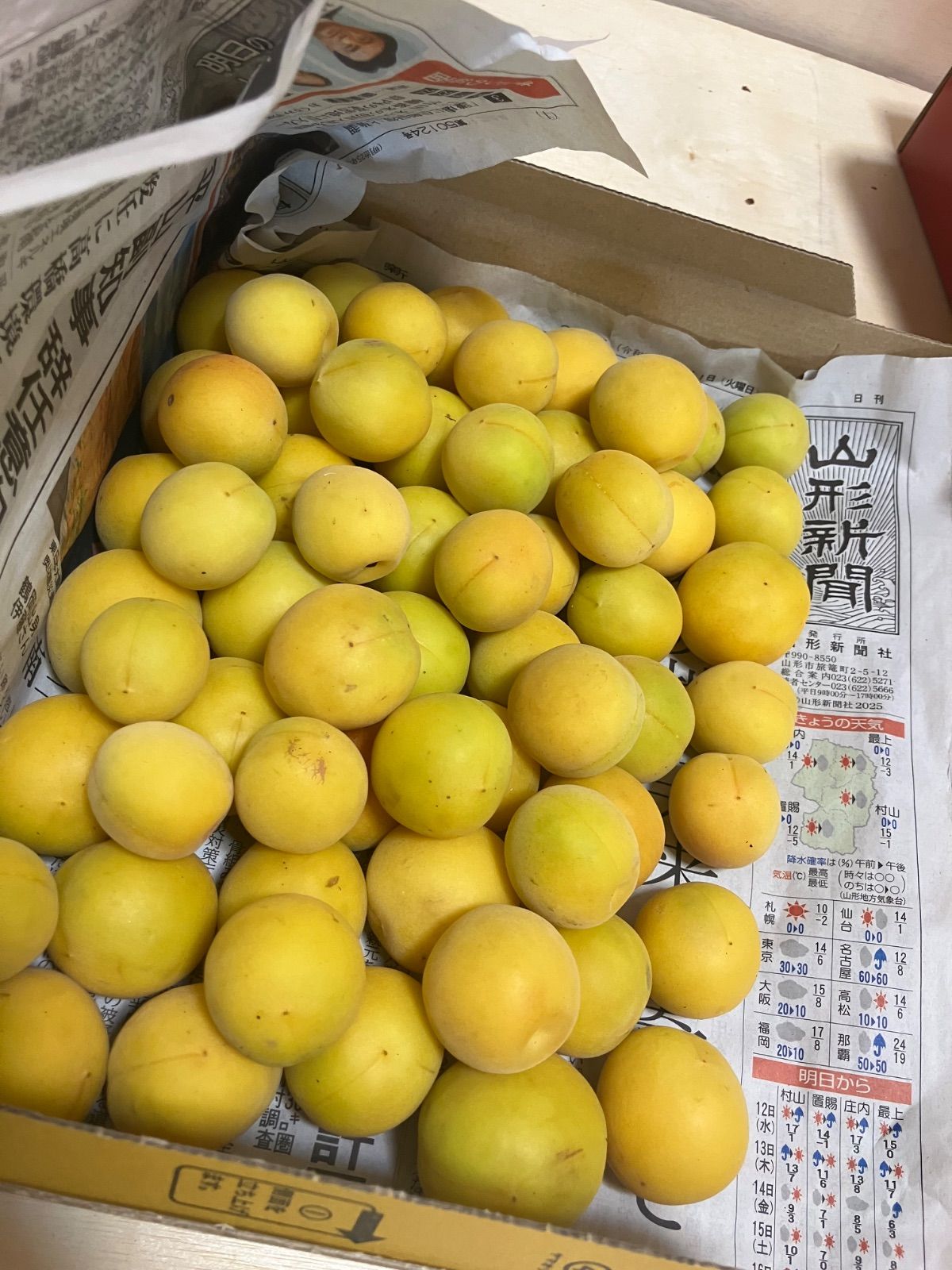 Sekaimen 世界門-日本代購、代標、代運、Yahoo拍賣| 吉川資訊有限公司 