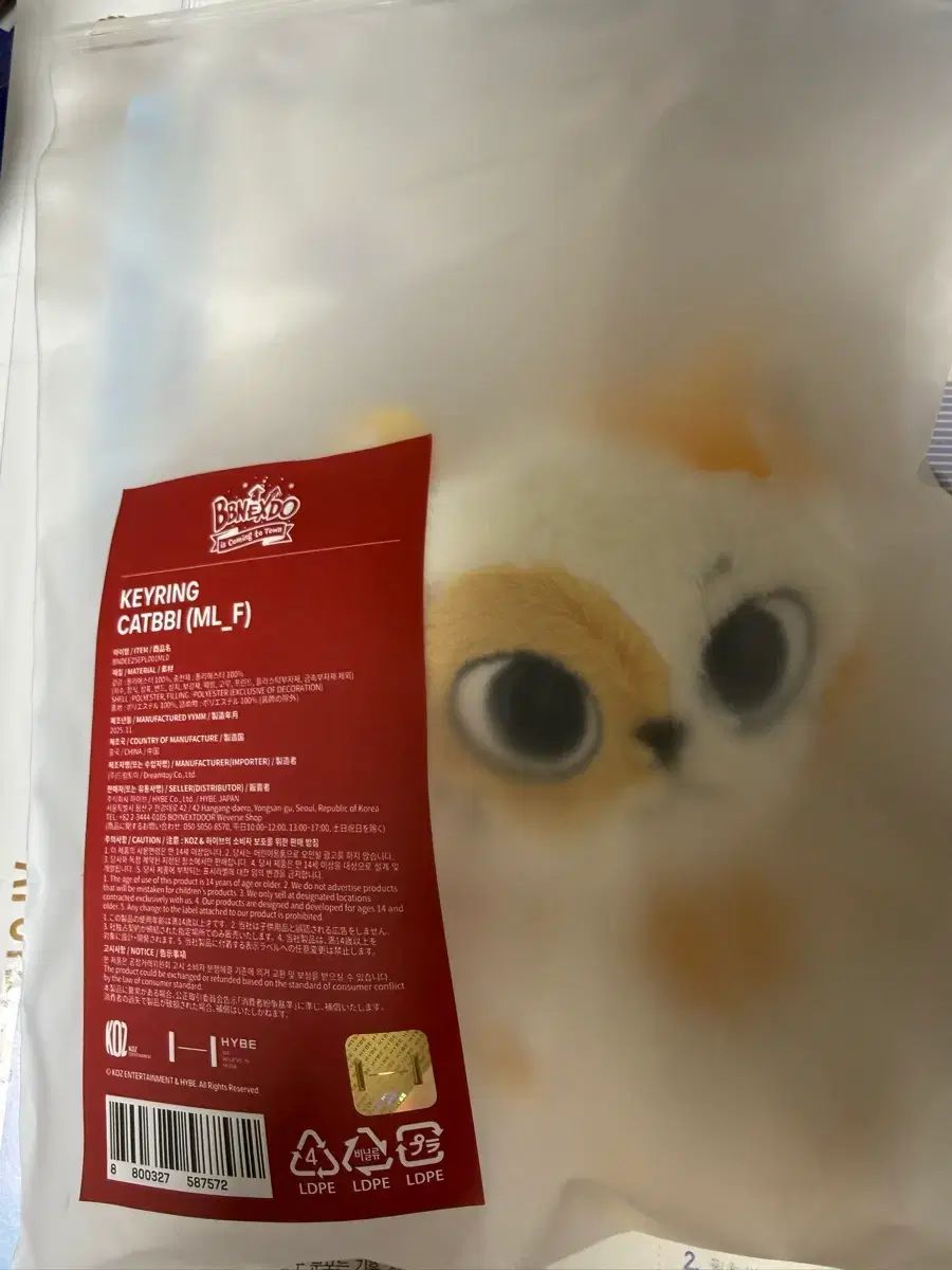 ネック 캣