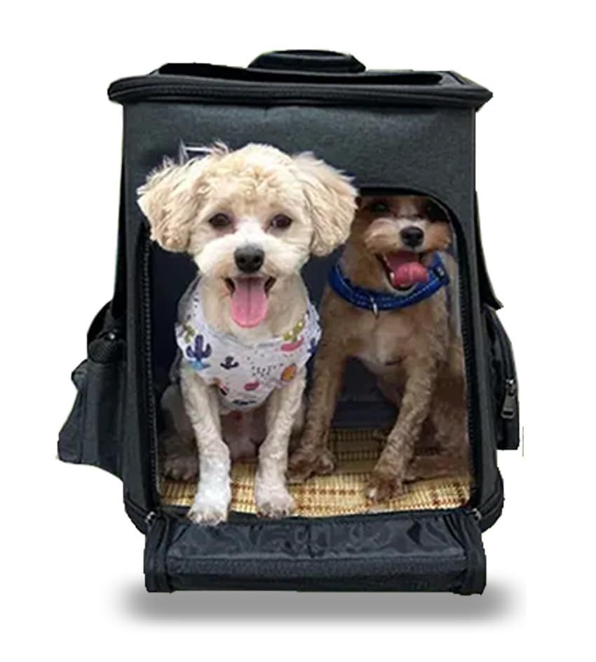 【RETOO レリローリアルファ】 ペット専用 バッグ ペット キャリー かばん ペットハウス ゲージ 小型犬 犬 猫 小動物 8kgまで 特殊コーティング 通気性 キャスター付き 360度回転 キャスター取り外し可能 リード固定 飛び出し防止 お出かけ ドラ