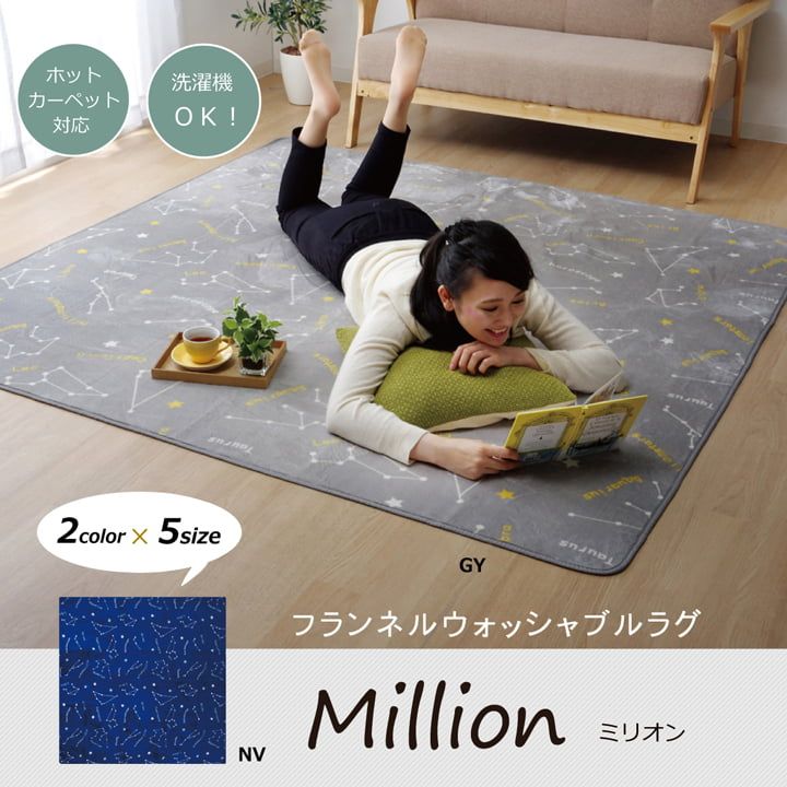 お部屋の主役を変えてみませんか WSミリオン RUG カーペット 約200×300cm