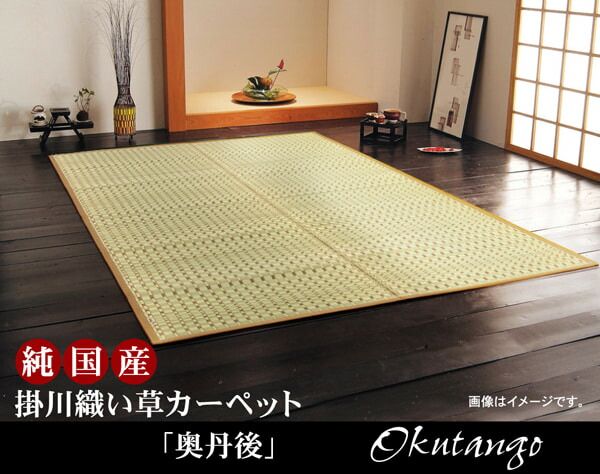 お部屋の主役を変えてみませんか 奥丹後 カーペット 約261×352cm
