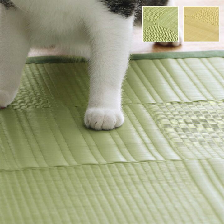 いつでも洗えるから安心して使える 洗えるラグ 約435×352cm ペット