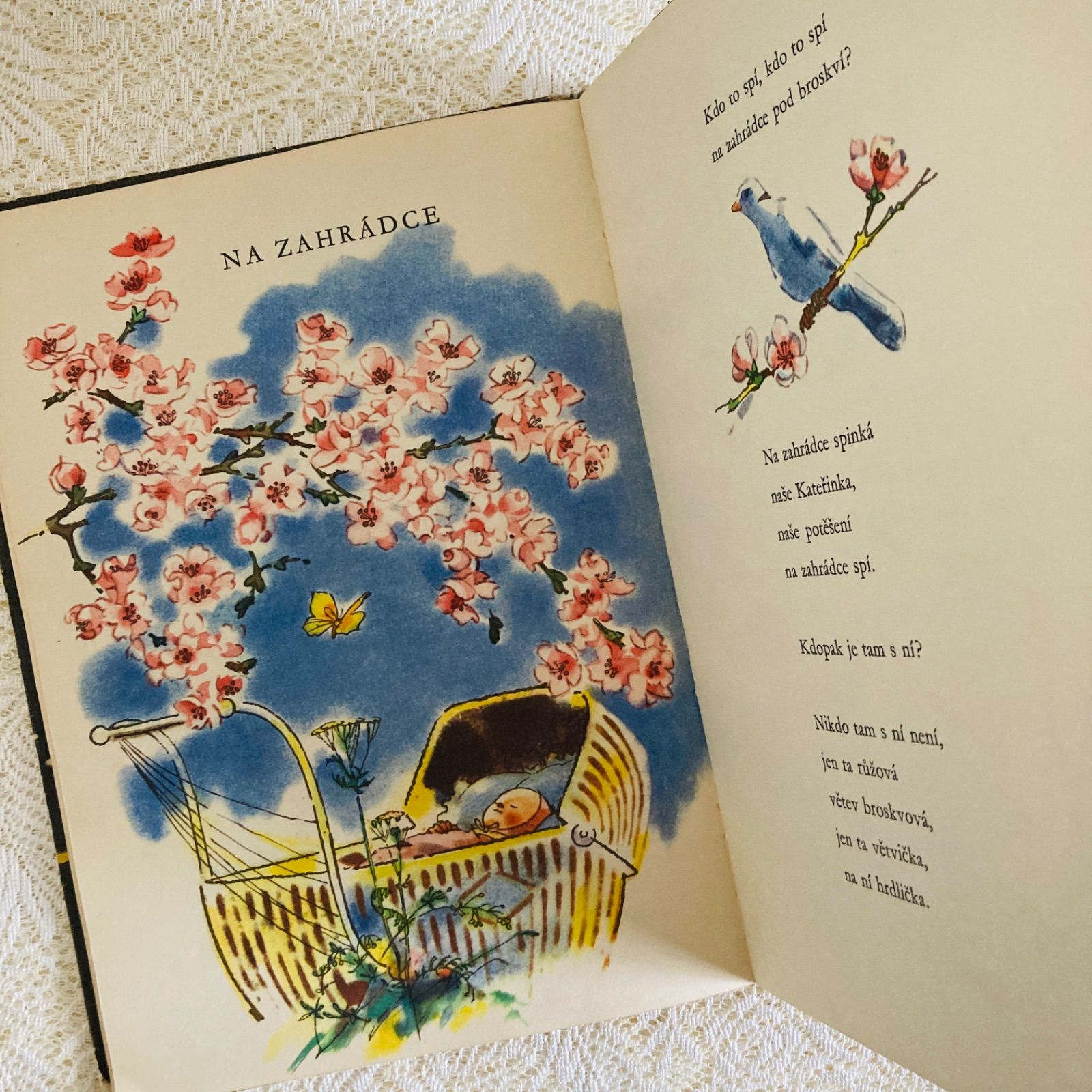 アドルフ・ザーブランスキー挿絵の詩集絵本 蝶が舞う黒い表紙 洋書