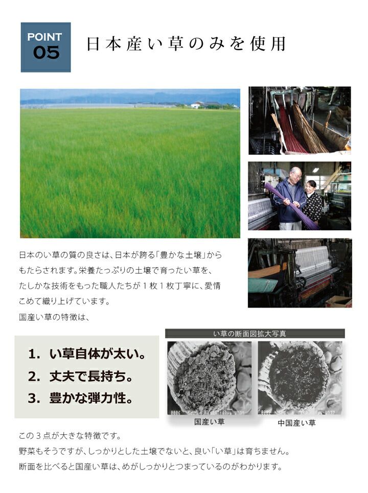 足元から、部屋の空気が変わる Fジョイ ラグ 約191×250cm