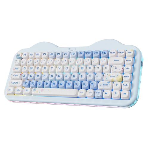 YUNZII C75 ワイヤレス メカニカルキーボード 75%レイアウト ホットスワップ対応 クリーミーキーボード NKRO PBT MOA キーキャップ RGBバックライト ガスケットマウント 可愛いケーキデザイン BT5.0/2.4G/USB-C WiJu