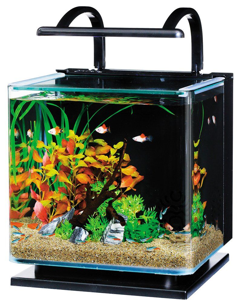 【新品】テトラ (Tetra) リビングキューブ 12 オールインワン水槽 淡水・海水用 (容量 約12L) ガラス 水槽 アクアリウム 熱帯魚 メダカ 金魚