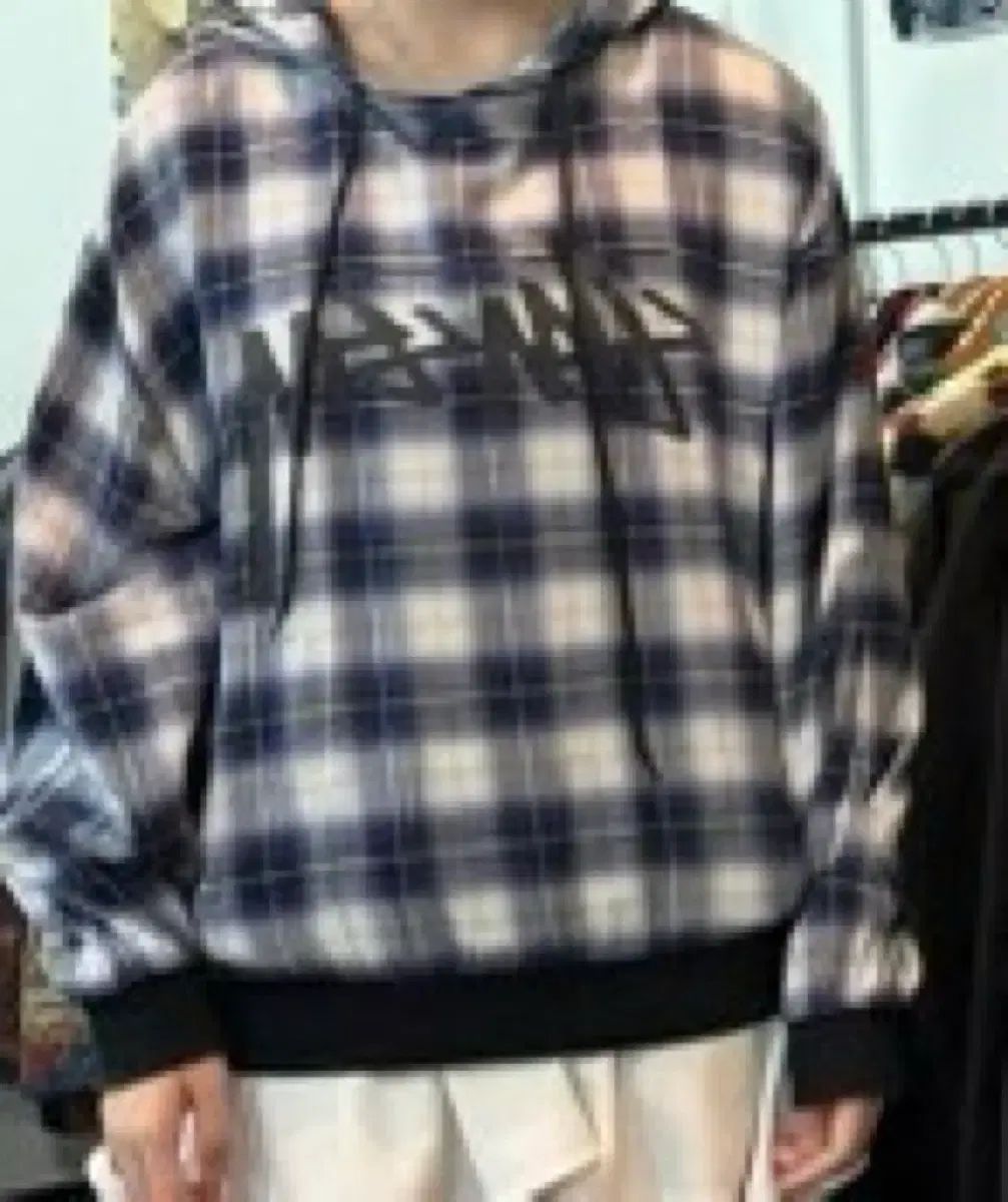 STUSSY チェック WHO フード