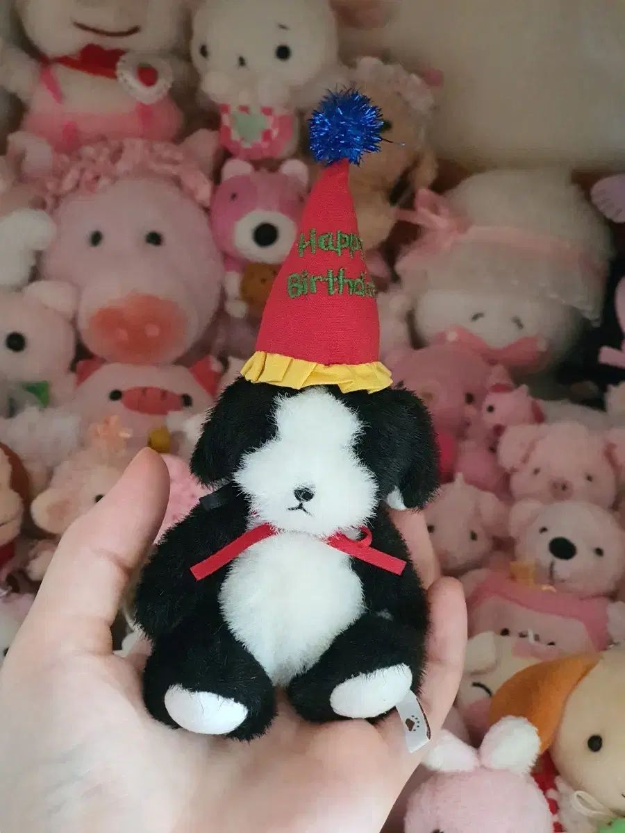 ボーイズベア 誕生日シリーズ 犬 ぬいぐるみ