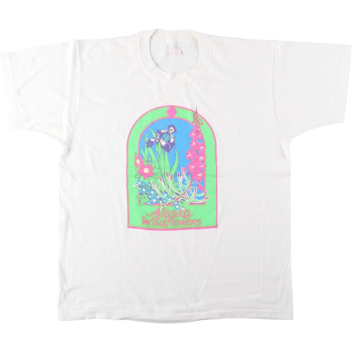 古着 90年代 フルーツオブザルーム FRUIT OF THE LOOM BEST Alaska Wildflowers 花柄 アートTシャツ USA製 メンズXL相当/eaa654500