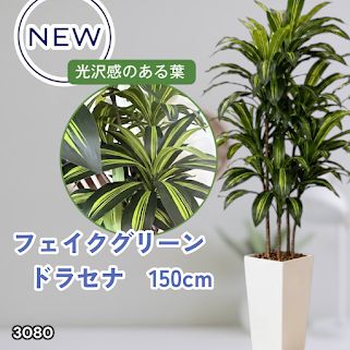 #3080 フェイクグリーン ドラセナ 150cm 生花店監修 大型 観葉植物 フェイク 造花 鉢付き おしゃれ 室内 インテリア グリーン オフィス 受付 リビング 店舗 ※一部地域離島別途配送料有