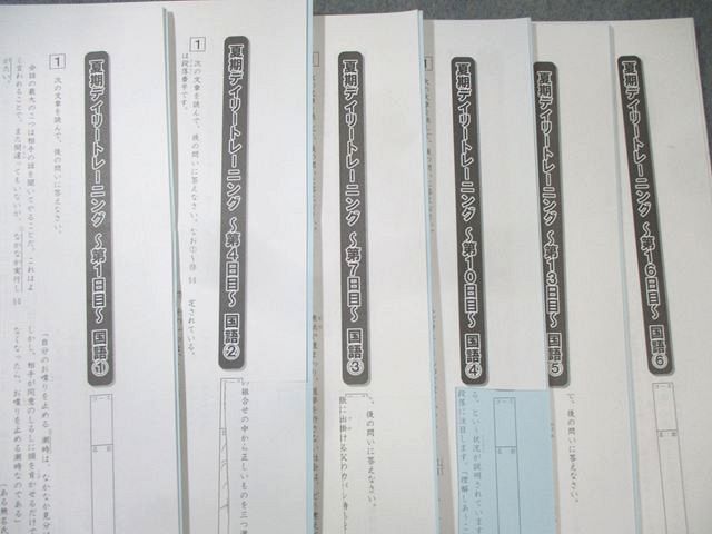 SAPIX 小6 サピックス 夏期デイリートレーニング 国語 【計6回分