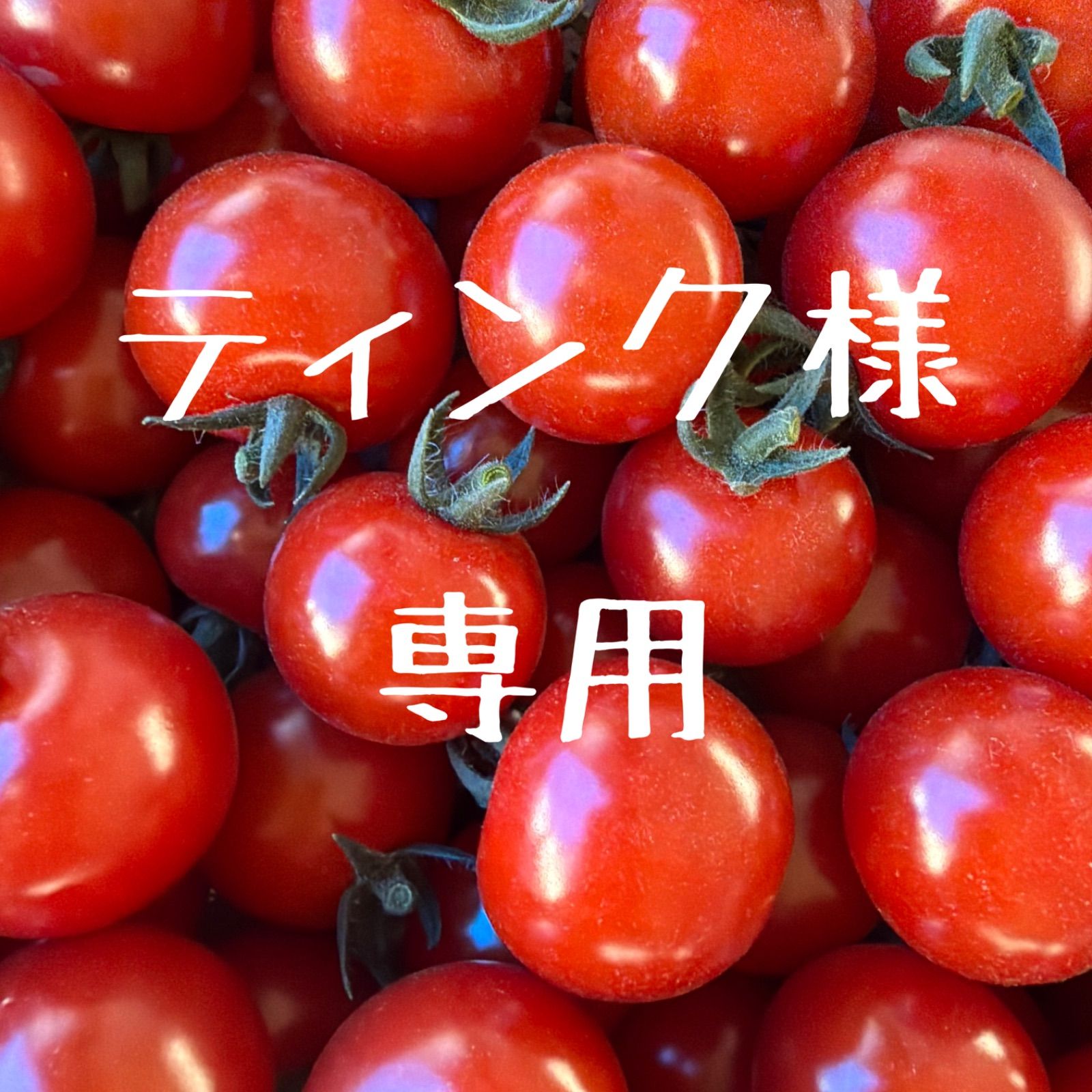 ティンク様 ティンク✩︎⡱様 ピンおまとめ 🚨日曜日はイラストの日