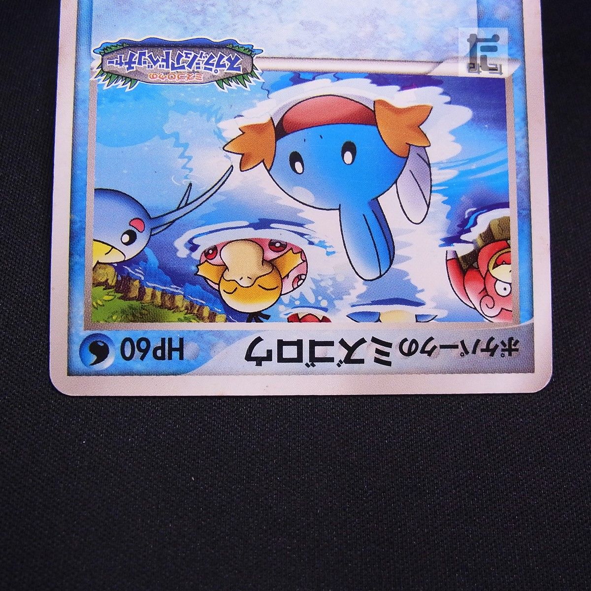 PSA10】ポケパークのミズゴロウ 【公式通販】