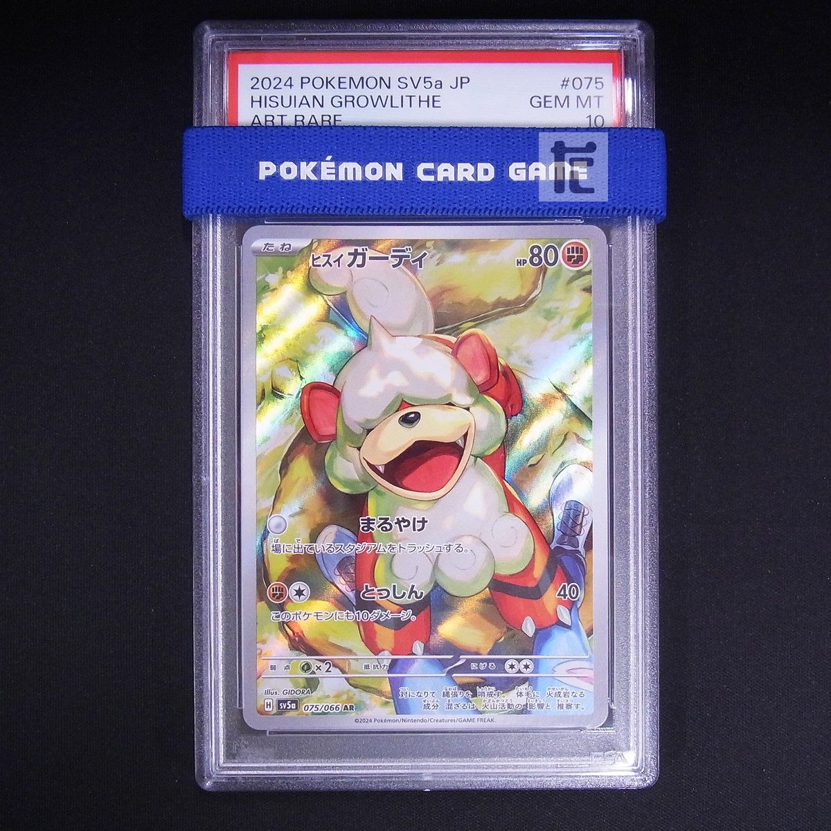 ヒスイガーディPSA10 AR ヒスイガーディ PSA10 / TA24979 - メルカリ