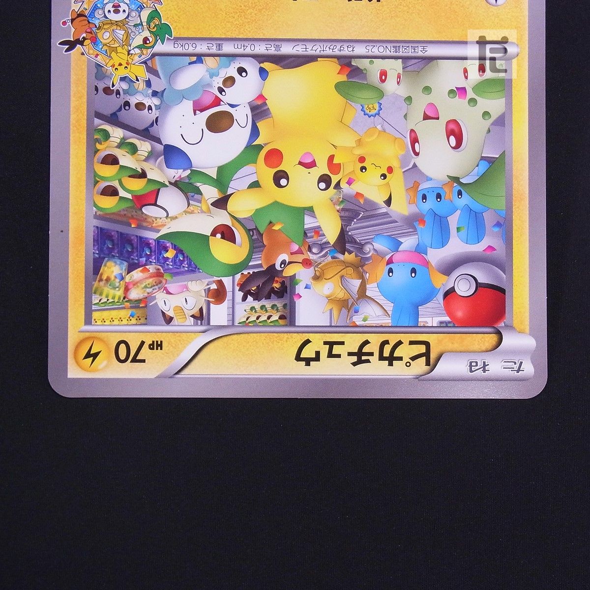 BW-P ピカチュウ_ジャンボカード ポケモンセンターナゴヤ おひっこし