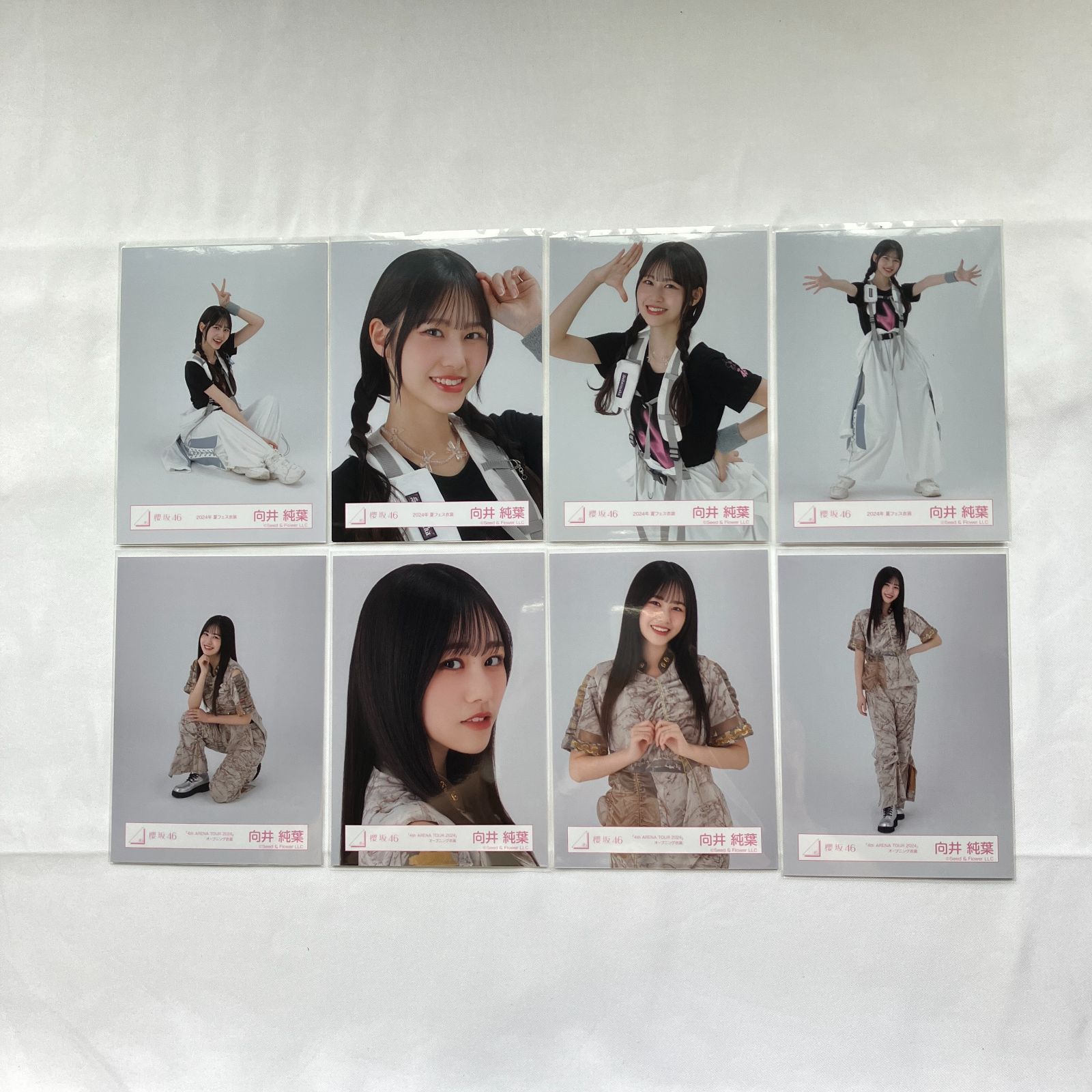 櫻坂46 向井純葉 生写真 コンプ 5セット NL6217P f115 - メルカリ