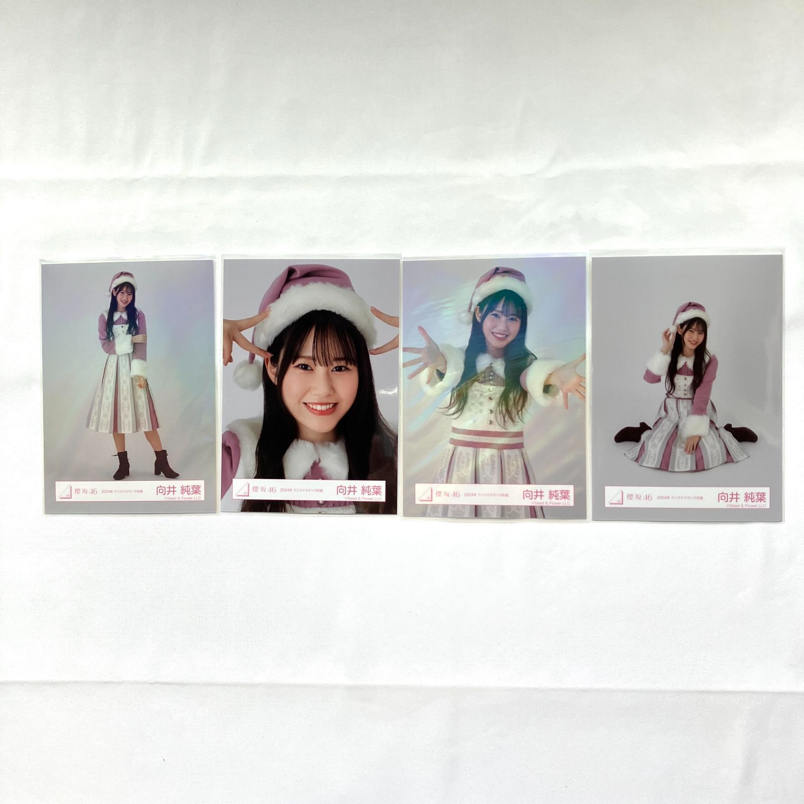 櫻坂46 向井純葉 生写真 コンプ 5セット NL6217P f115 - メルカリ