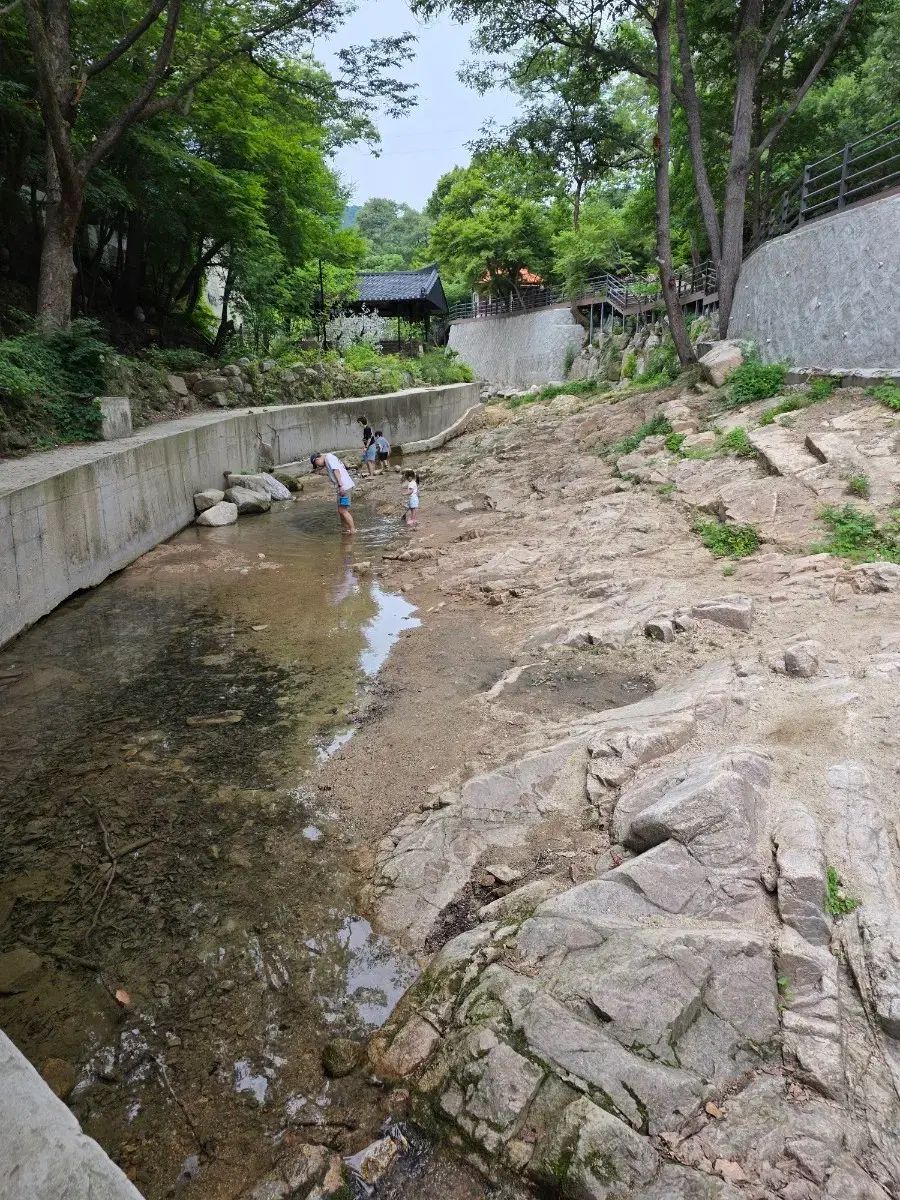 バイラルマーケティング 聖水期 条件