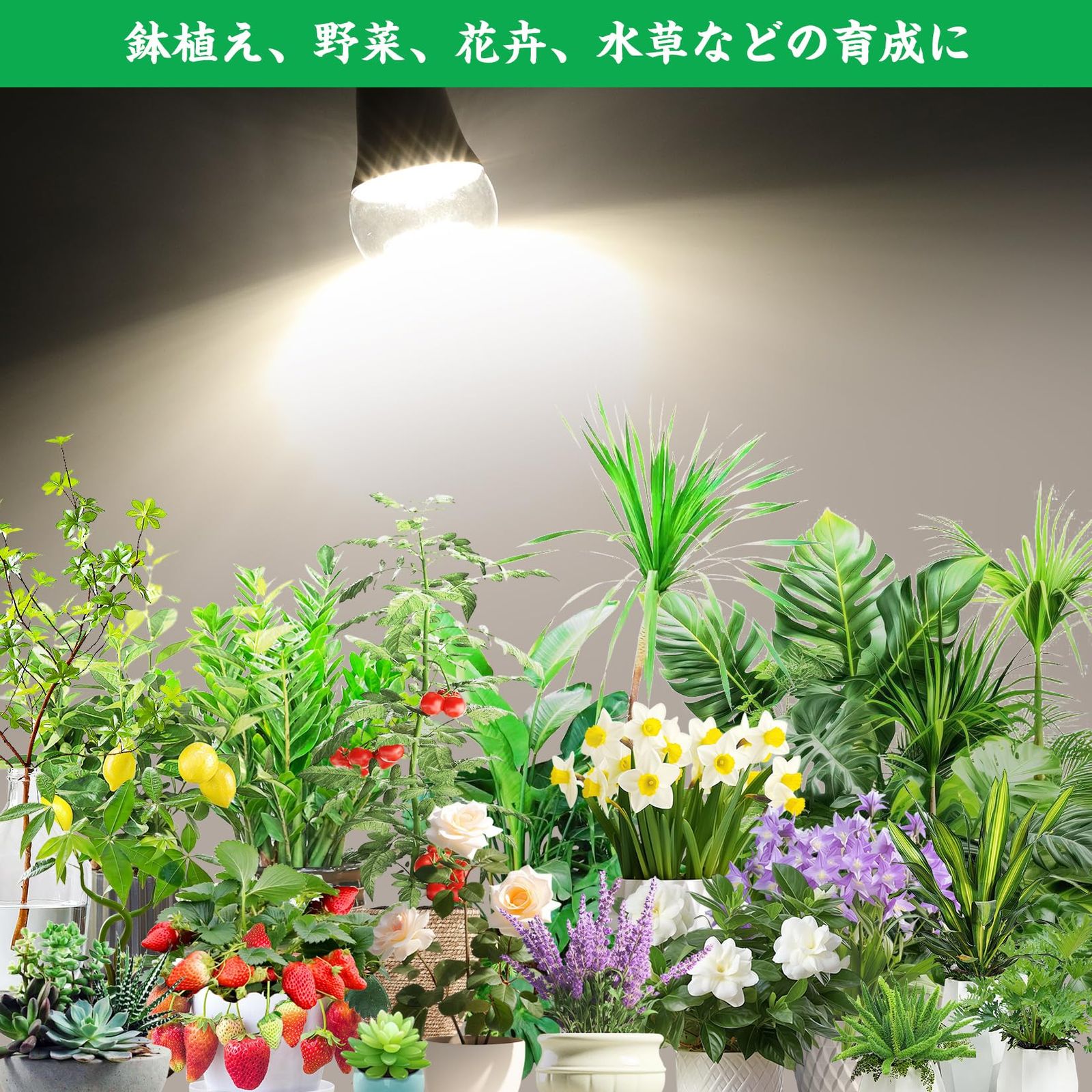 E26口金 植物育成ライト LED 15W 100W相当 一般電球 高輝度 フル