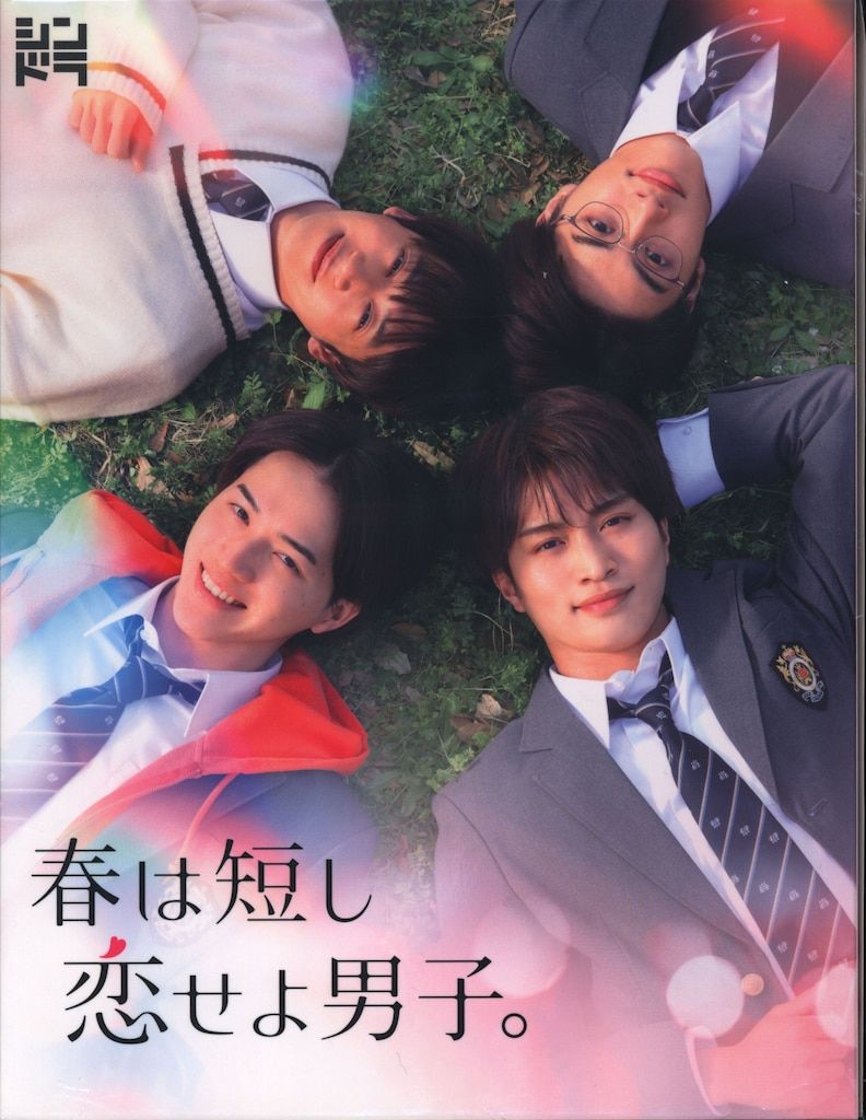国内ドラマDVD 春は短し恋せよ男子。 DVD BOX