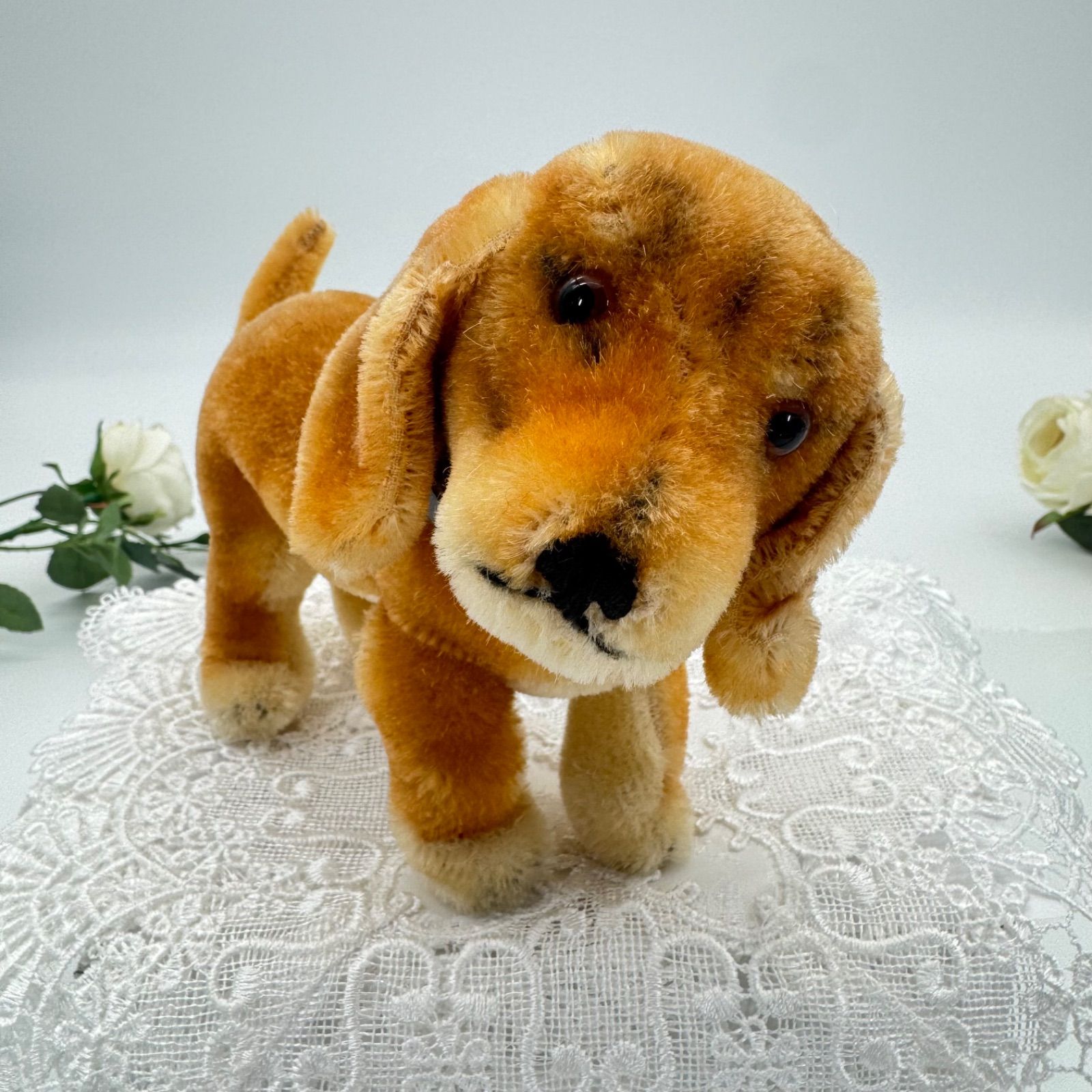 送料無料☆シュタイフ☆Bazi Dachshund 14cm(立ちポーズ)☆ダックス