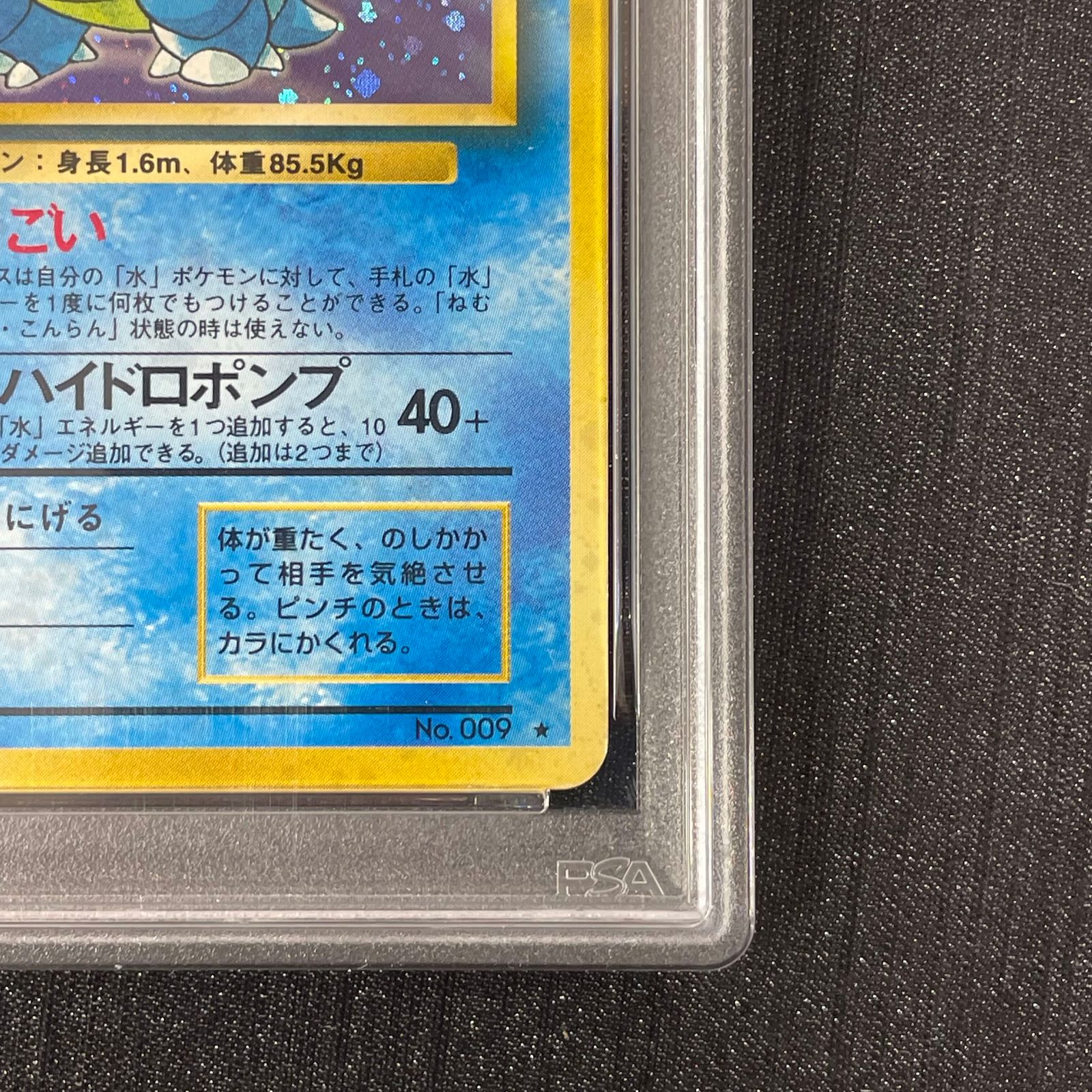 カメックス ★ 第1弾拡張パック　psa5 旧裏 PSA5】カメックス ＜マーク有＞ [旧裏第1弾/拡張パック] [旧裏] 1枚