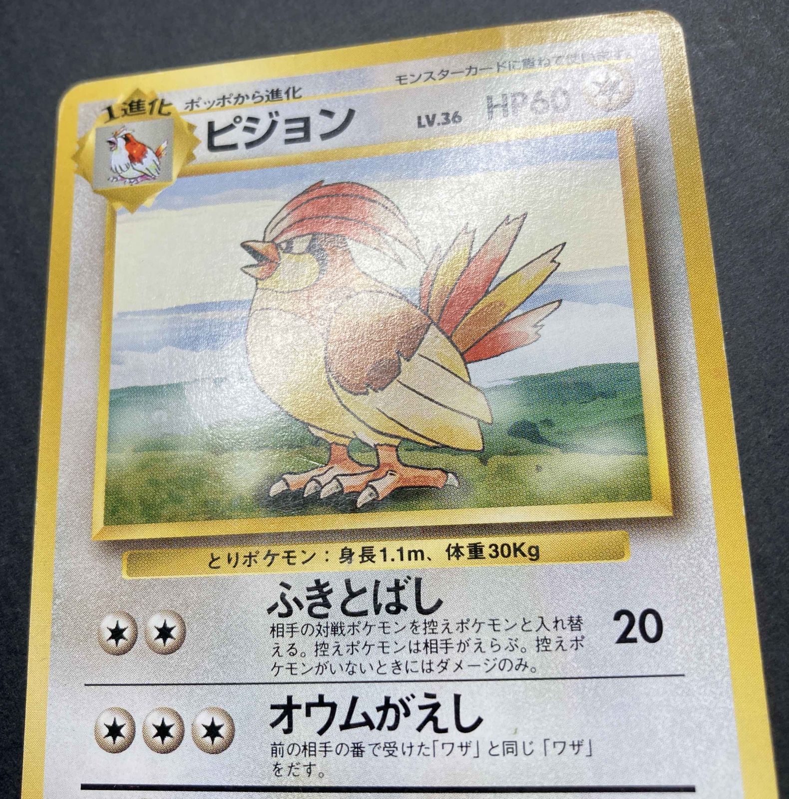 PSA9 ピジョン 再販 R 旧裏 PMCG LV.36 拡張パック第1弾 再販 017 1996