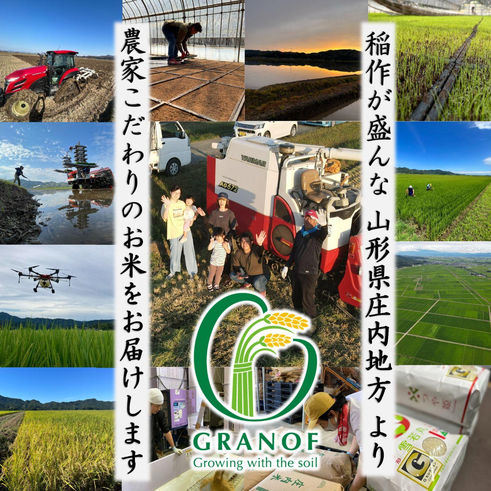 新米予約 令和8年産 山形庄内産 食べ比べ3種 15kg - メルカリ